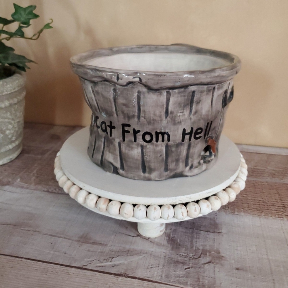 Cat "trash can" bowl
